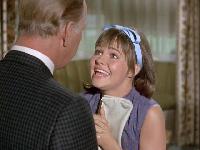 Click to watch 'Now Theres a Face' (popup) Gidget